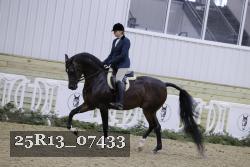 25R13_07433 thumbnail