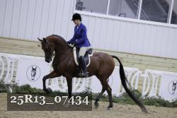 25R13_07434 thumbnail