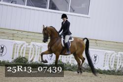 25R13_07439 thumbnail