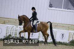 25R13_07440 thumbnail
