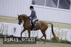 25R13_07441 thumbnail