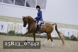 25R13_07442 thumbnail