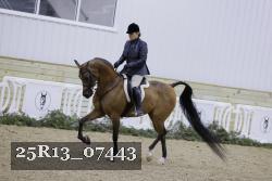 25R13_07443 thumbnail