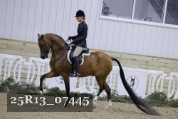 25R13_07445 thumbnail