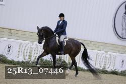 25R13_07446 thumbnail