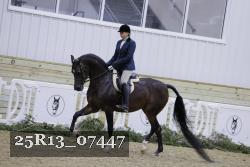 25R13_07447 thumbnail