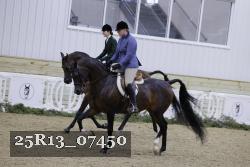 25R13_07450 thumbnail