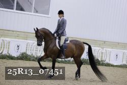 25R13_07451 thumbnail