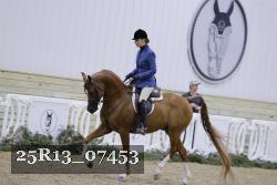 25R13_07453 thumbnail