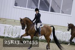 25R13_07455 thumbnail