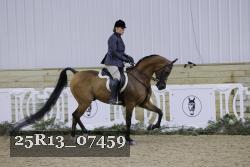 25R13_07459 thumbnail