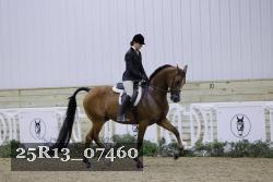 25R13_07460 thumbnail