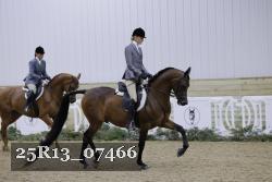 25R13_07466 thumbnail