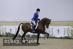 25R13_07468 thumbnail