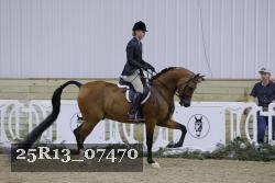 25R13_07470 thumbnail