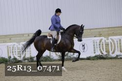 25R13_07471 thumbnail