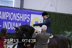 25R13_07472 thumbnail