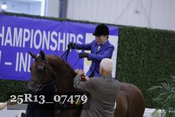 25R13_07479 thumbnail