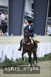 25R13_07486 thumbnail