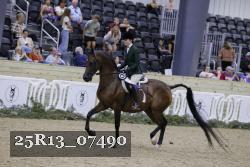 25R13_07490 thumbnail