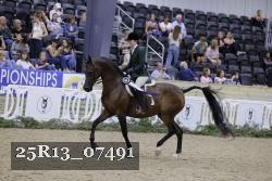 25R13_07491 thumbnail
