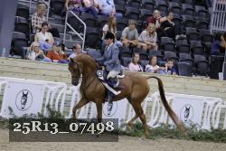 25R13_07498 thumbnail