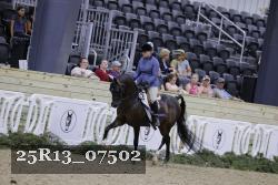 25R13_07502 thumbnail