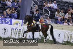 25R13_07506 thumbnail