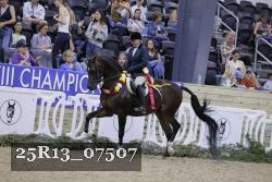 25R13_07507 thumbnail
