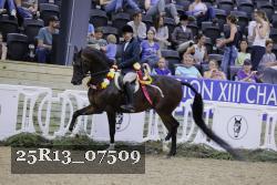 25R13_07509 thumbnail