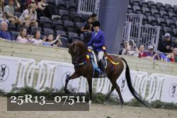 25R13_07511 thumbnail