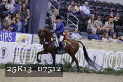 25R13_07512 thumbnail