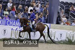 25R13_07513 thumbnail