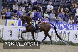 25R13_07514 thumbnail