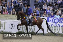 25R13_07515 thumbnail