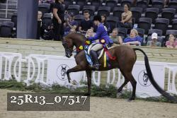 25R13_07517 thumbnail