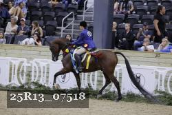25R13_07518 thumbnail
