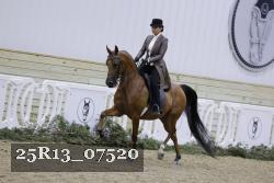 25R13_07520 thumbnail