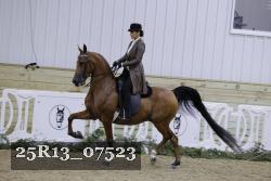 25R13_07523 thumbnail