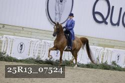 25R13_07524 thumbnail