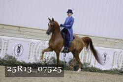25R13_07525 thumbnail