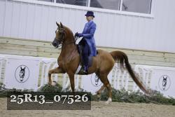 25R13_07526 thumbnail