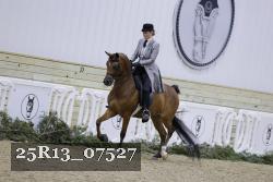 25R13_07527 thumbnail