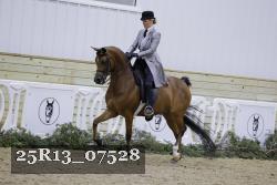 25R13_07528 thumbnail