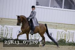 25R13_07529 thumbnail