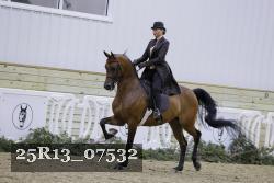 25R13_07532 thumbnail