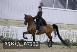 25R13_07533 thumbnail