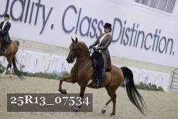 25R13_07534 thumbnail