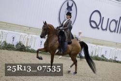 25R13_07535 thumbnail