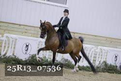 25R13_07536 thumbnail